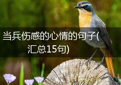 当兵伤感的心情的句子(汇总15句)