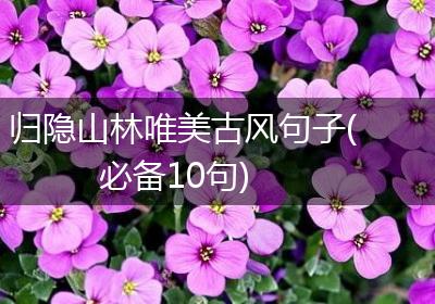 归隐山林唯美古风句子(必备10句)