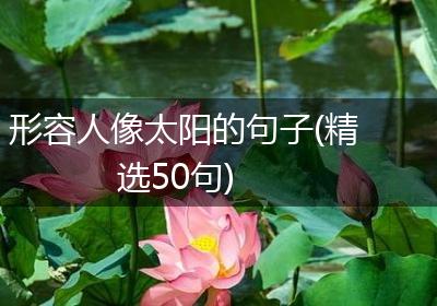 形容人像太阳的句子(精选50句)