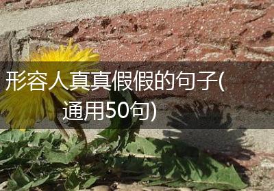 形容人真真假假的句子(通用50句)