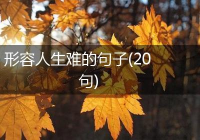形容人生难的句子(20句)