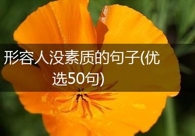 形容人没素质的句子(优选50句)