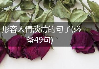 形容人情淡薄的句子(必备49句)