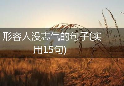 形容人没志气的句子(实用15句)
