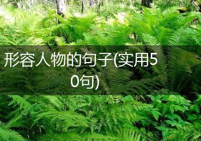形容人物的句子(实用50句)