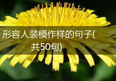 形容人装模作样的句子(共50句)