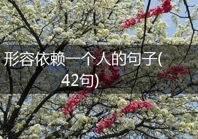 形容依赖一个人的句子(42句)