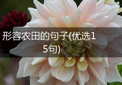 形容农田的句子(优选15句)