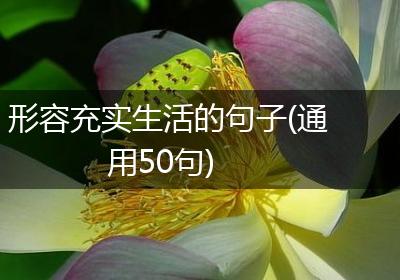 形容充实生活的句子(通用50句)