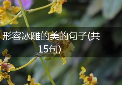 形容冰雕的美的句子(共15句)