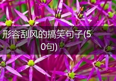形容刮风的搞笑句子(50句)