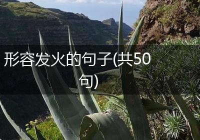 形容发火的句子(共50句)