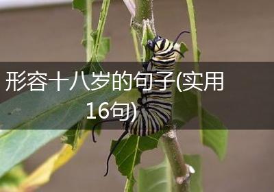 形容十八岁的句子(实用16句)