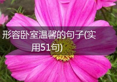 形容卧室温馨的句子(实用51句)