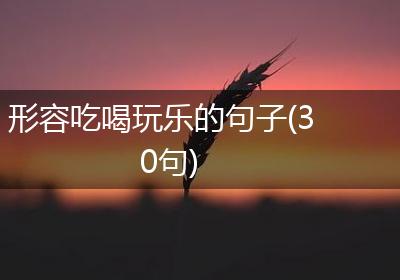 形容吃喝玩乐的句子(30句)