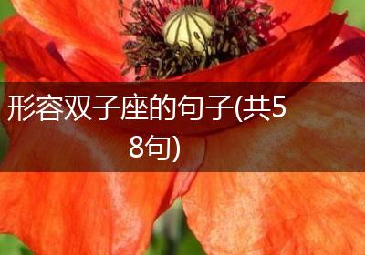 形容双子座的句子(共58句)