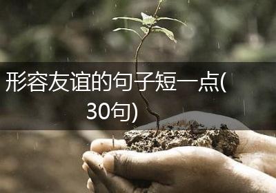 形容友谊的句子短一点(30句)