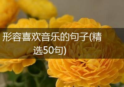 形容喜欢音乐的句子(精选50句)