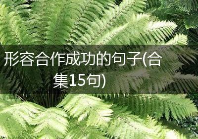 形容合作成功的句子(合集15句)