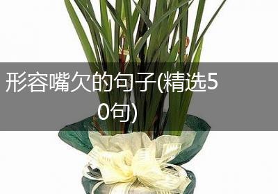 形容嘴欠的句子(精选50句)