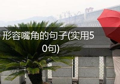 形容嘴角的句子(实用50句)