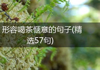 形容喝茶惬意的句子(精选57句)
