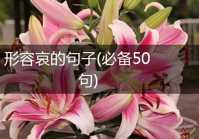 形容哀的句子(必备50句)