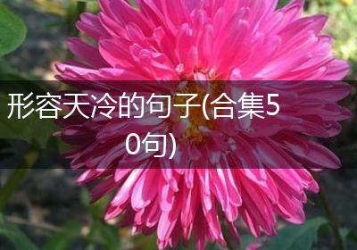 形容天冷的句子(合集50句)