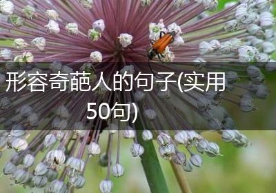 形容奇葩人的句子(实用50句)