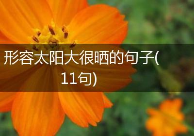 形容太阳大很晒的句子(11句)