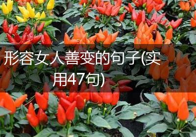 形容女人善变的句子(实用47句)