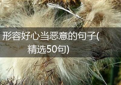 形容好心当恶意的句子(精选50句)