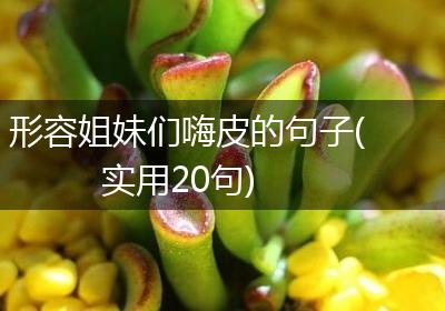 形容姐妹们嗨皮的句子(实用20句)