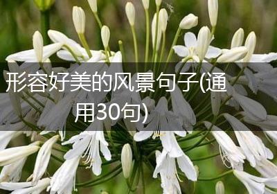 形容好美的风景句子(通用30句)