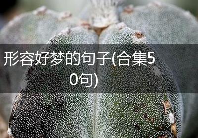 形容好梦的句子(合集50句)