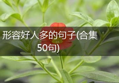 形容好人多的句子(合集50句)