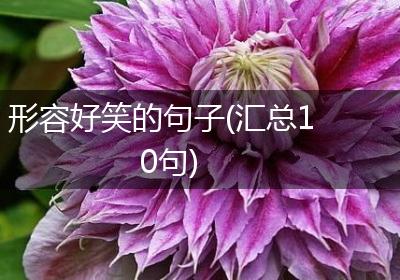 形容好笑的句子(汇总10句)