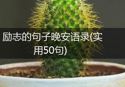 励志的句子晚安语录(实用50句)