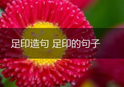 足印造句 足印的句子