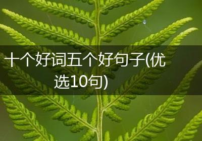 十个好词五个好句子(优选10句)