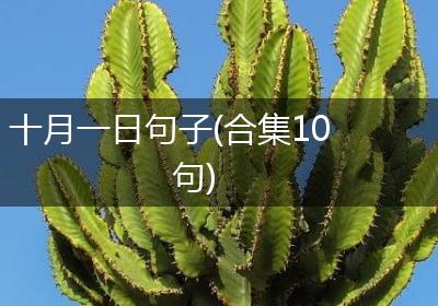十月一日句子(合集10句)