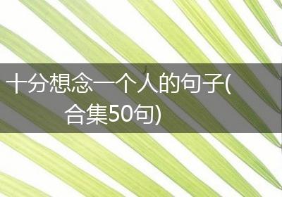 十分想念一个人的句子(合集50句)