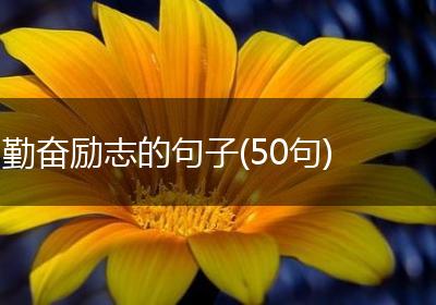勤奋励志的句子(50句)