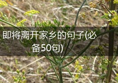即将离开家乡的句子(必备50句)