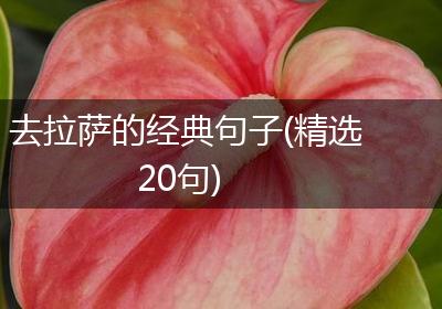 去拉萨的经典句子(精选20句)