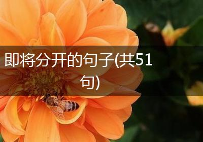 即将分开的句子(共51句)