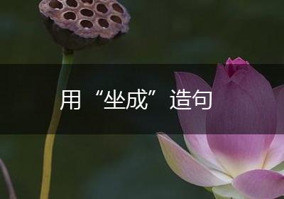 用“坐成”造句