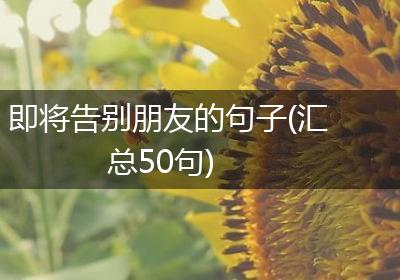 即将告别朋友的句子(汇总50句)