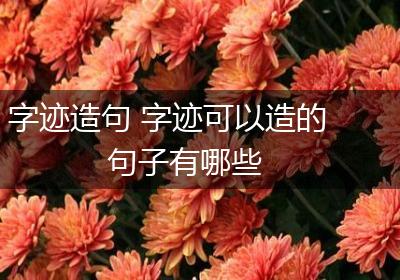 字迹造句 字迹可以造的句子有哪些