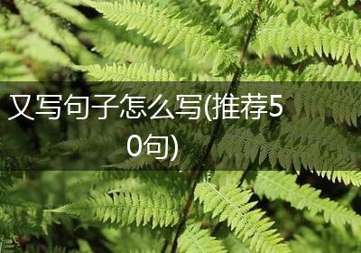 又写句子怎么写(推荐50句)